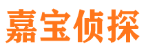 顺平市侦探调查公司